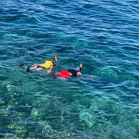 ヴィラ Yucca Bay Korcula Blato